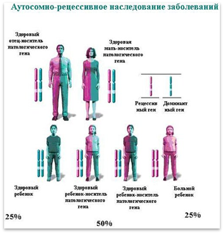 http://www.gepatit-c.ru/bliver/image/wilsons_disease_for_pat_genetics.jpg