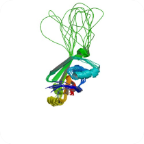 PBB Protein ATP7B image.jpg