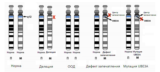 2015-05-24 22-09-06 Скриншот экрана.png