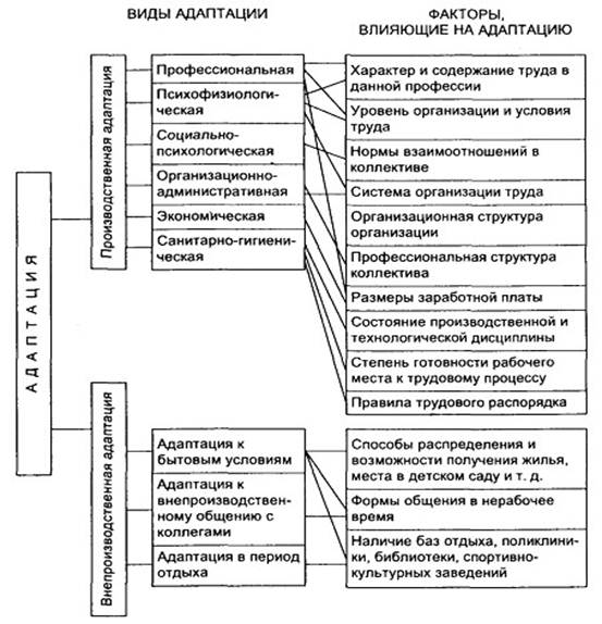 План адаптации менеджера по продажам