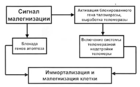 http://web-local.rudn.ru/web-local/uem/autor/bilibin/bil_kl.files/image006.jpg