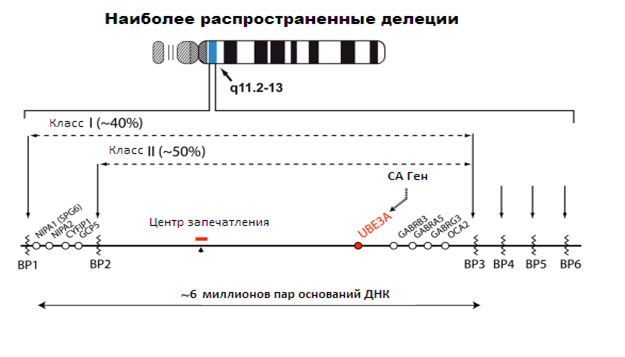 2015-05-24 22-18-50 Скриншот экрана.png