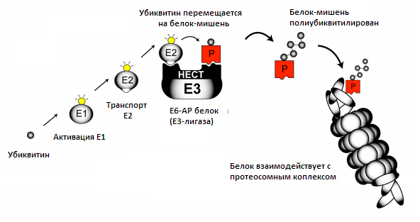 2015-05-24 22-19-09 Скриншот экрана.png